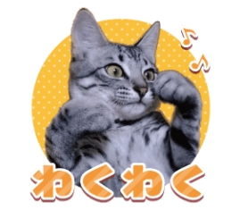 ラインスタンプ発売中